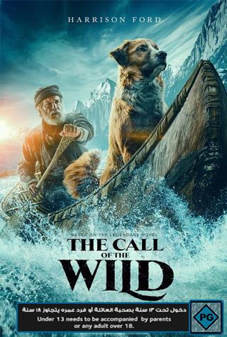THE CALL OF THE WILD THE CALL OF THE WILD