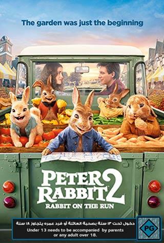 PETER RABBIT 2:THE RUNAWAY PETER RABBIT 2:THE RUNAWAY