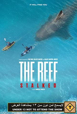 THE REEF: STALKED