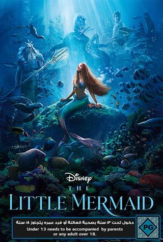 THE LITTLE MERMAID THE LITTLE MERMAID