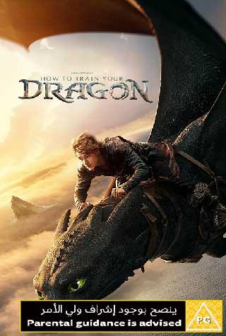 HOW TO TRAIN YOUR DRAGON HOW TO TRAIN YOUR DRAGON