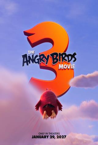THE ANGRY BIRDS MOVIE 3 THE ANGRY BIRDS MOVIE 3